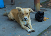 Помирени; comments:8