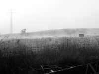 без име ( ID=2565647 ); Коментари:3