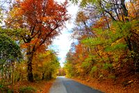 Есен.; Коментари:4