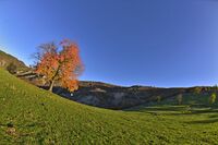 :); Коментари:6