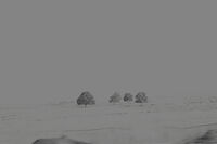 ON ROAD; Коментари:2