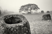 no name ( ID=2565704 ); comments:7