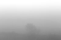 без име ( ID=2565781 ); Няма коментари