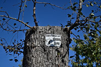 Без думи.....; Коментари:7