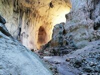 без име ( ID=2565822 ); Коментари:1