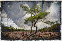 Spill; Коментари:7