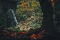 без име ( ID=2565877 ); Коментари:5