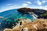 без име ( ID=2565878 ); Коментари:2