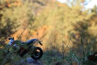 no name ( ID=2565902 ); No comments