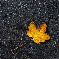 no name ( ID=2565909 ); comments:5