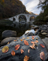 без име ( ID=2565930 ); Коментари:2