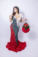 Бяло,зелено,червено; Няма коментари