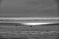 без име ( ID=2566025 ); Коментари:4