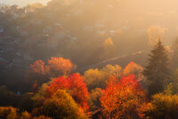 без име ( ID=2566031 ); Коментари:4