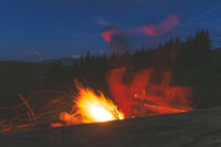 Танцуващият с вълци; Коментари:1