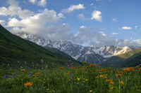 Долината на Енгури - цветната градина на Кавказ; Коментари:7