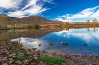 без име ( ID=2566133 ); Коментари:6