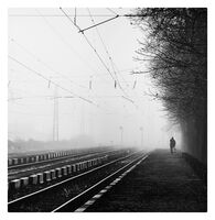 no name ( ID=2566153 ); comments:31