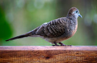 no name ( ID=2566157 ); comments:3