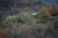 без име ( ID=2566166 ); Коментари:1