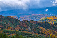 Цветовете на есента; Коментари:4