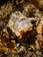 Вълк; No comments