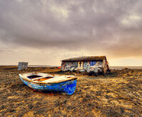 Nostalgia; Коментари:6