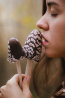 VI; Коментари:3