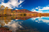 без име ( ID=2566228 ); Коментари:3