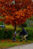 Урожай; comments:2