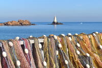 без име ( ID=2566302 ); Коментари:3