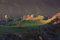 На ръба между световете; Коментари:18