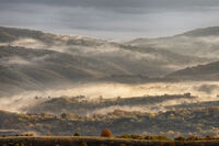 Просто ноември; Коментари:1