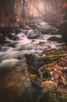 ***; Коментари:1