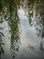 Прическа; comments:2