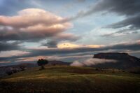 без име ( ID=2566337 ); Коментари:5