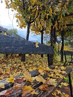 В края на ....; Коментари:4