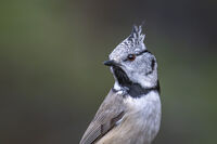 no name ( ID=2566371 ); comments:2