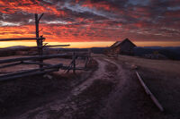 Кръвта на Орцево; Коментари:7