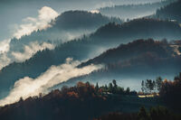 В ранни зори; Коментари:23