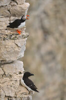 no name ( ID=2566433 ); comments:8