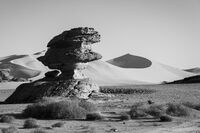 Сахарски статуи; Коментари:12