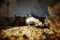 Escape from the Shadows; Коментари:6