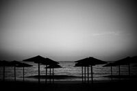 seize the day; comments:4