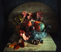 no name ( ID=2566475 ); comments:13