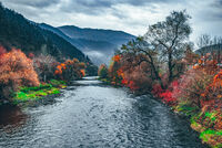 без име ( ID=2566483 ); Коментари:8