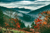 без име ( ID=2566485 ); Коментари:8