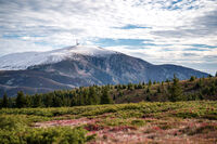 Когато есента се срещне със зимата; Коментари:3