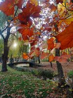 без име ( ID=2566516 ); Коментари:2