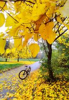 без име ( ID=2566517 ); Коментари:4